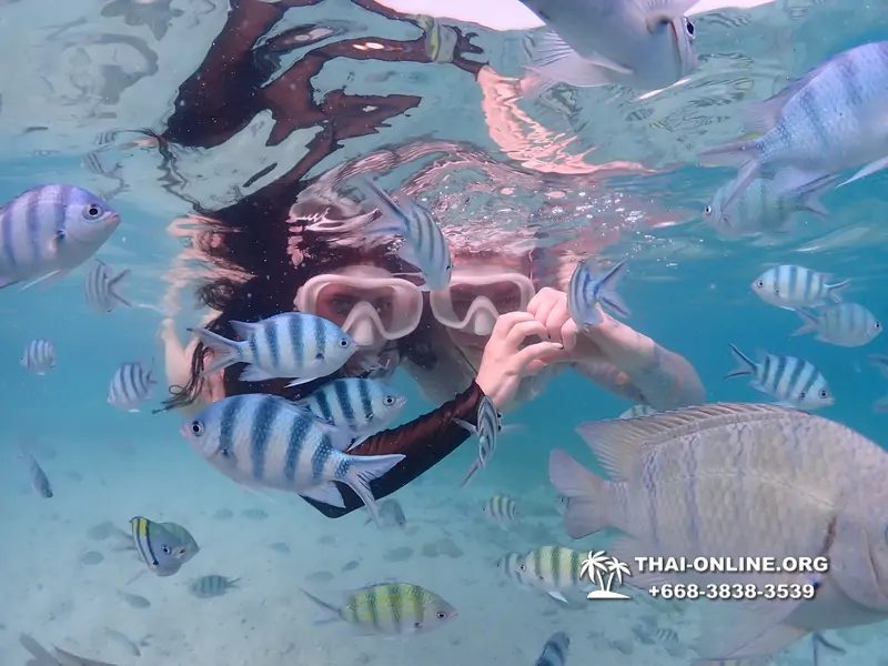 Underwater Odyssey snorkeling excursion Pattaya Thailand photo 11204