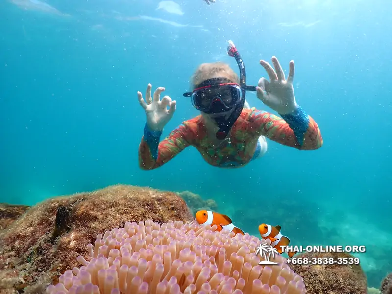 Underwater Odyssey snorkeling excursion Pattaya Thailand photo 14897