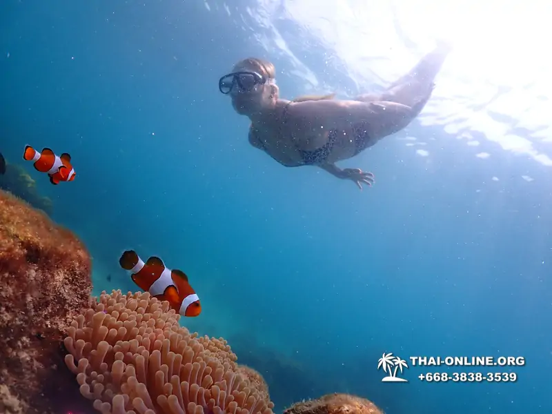 Underwater Odyssey snorkeling excursion in Pattaya Thailand photo 1043