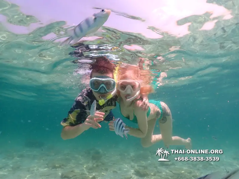 Underwater Odyssey snorkeling tour from Pattaya Thailand photo 18472