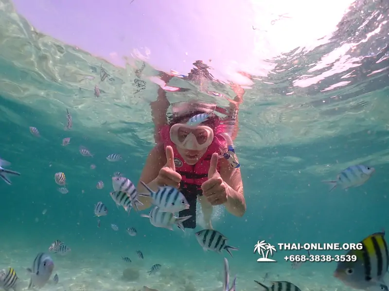 Underwater Odyssey snorkeling tour from Pattaya Thailand photo 18530