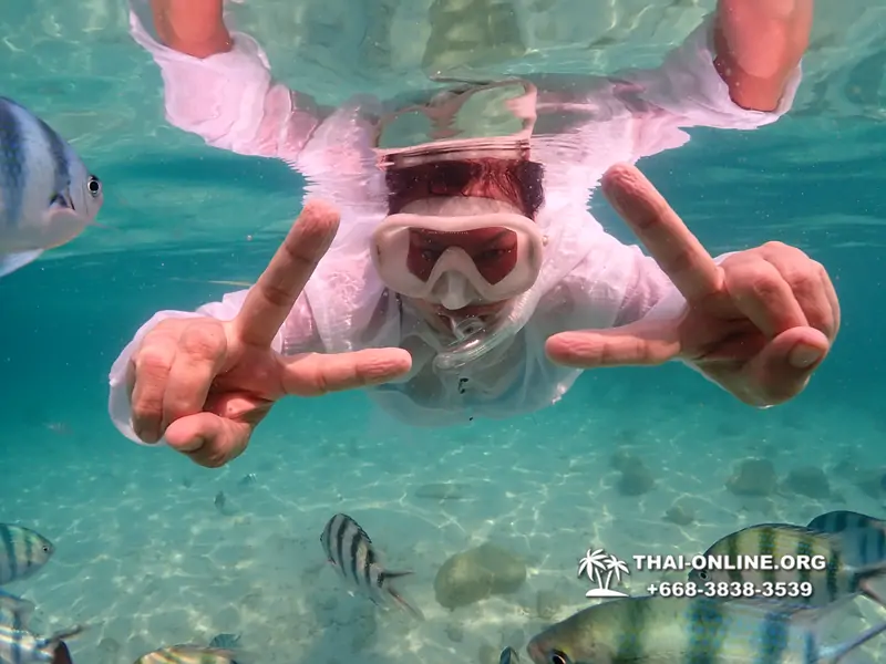 Underwater Odyssey snorkeling tour from Pattaya Thailand photo 14479