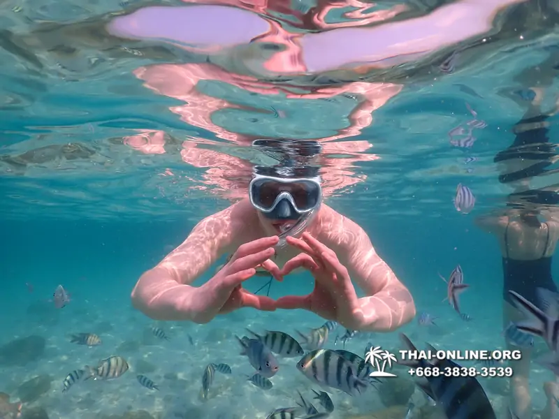 Underwater Odyssey snorkeling tour from Pattaya Thailand photo 14297
