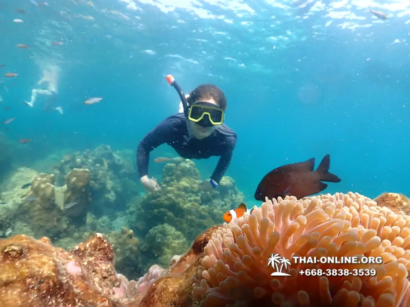 Underwater Odyssey snorkeling tour from Pattaya Thailand photo 14258