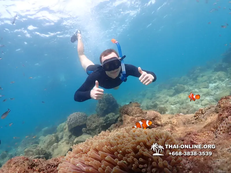 Underwater Odyssey snorkeling excursion Pattaya Thailand photo 11373