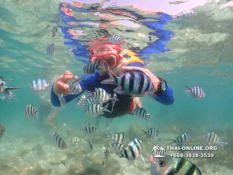 Underwater Odyssey snorkeling excursion Pattaya Thailand photo 14829