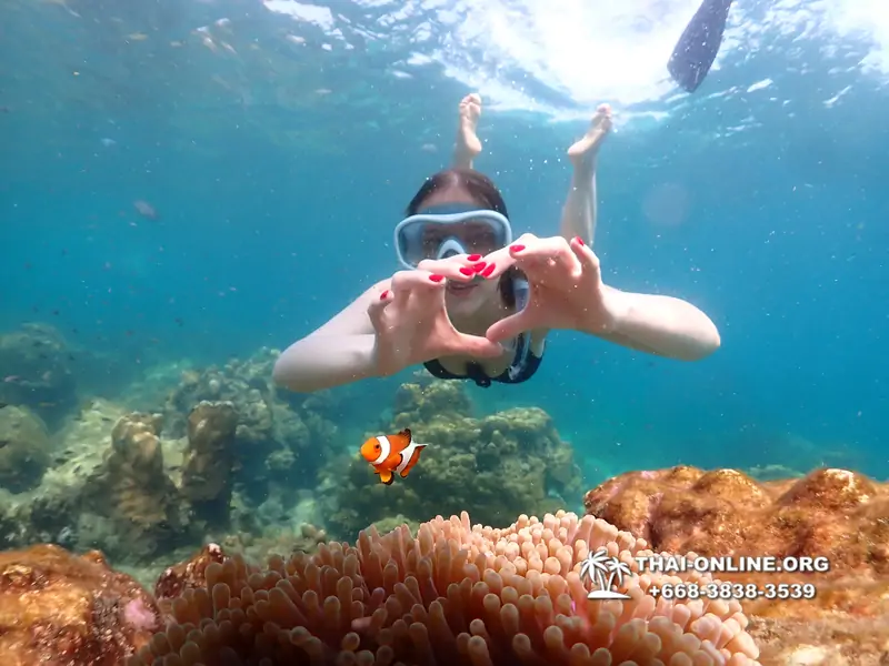 Underwater Odyssey snorkeling tour from Pattaya Thailand photo 14346