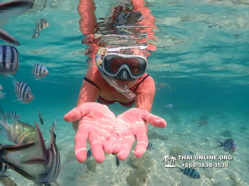 Underwater Odyssey snorkeling tour from Pattaya Thailand photo 14138