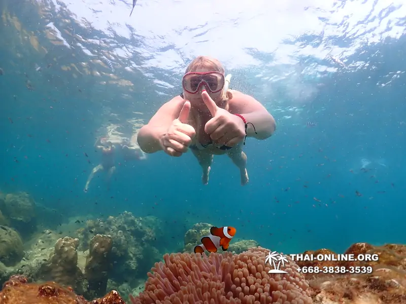 Underwater Odyssey snorkeling excursion Pattaya Thailand photo 14201