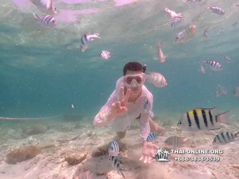 Underwater Odyssey snorkeling tour from Pattaya Thailand photo 18640