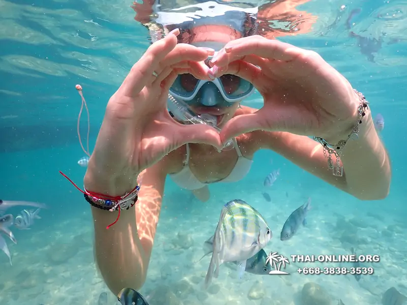 Underwater Odyssey snorkeling tour from Pattaya Thailand photo 14348