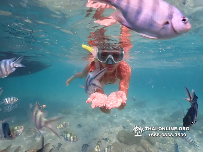 Underwater Odyssey snorkeling tour from Pattaya Thailand photo 14521