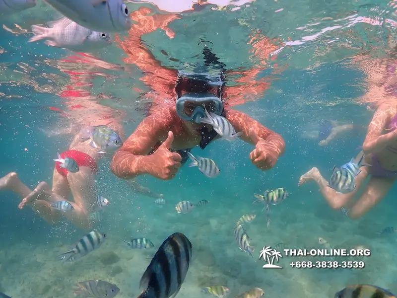 Underwater Odyssey snorkeling excursion Pattaya Thailand photo 11532