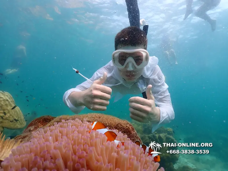 Underwater Odyssey snorkeling tour from Pattaya Thailand photo 18488