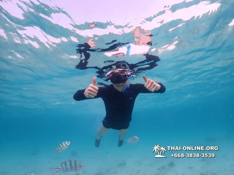 Underwater Odyssey snorkeling excursion Pattaya Thailand photo 11141