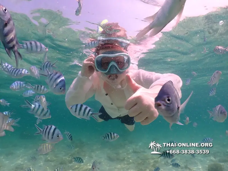 Underwater Odyssey snorkeling tour from Pattaya Thailand photo 18314