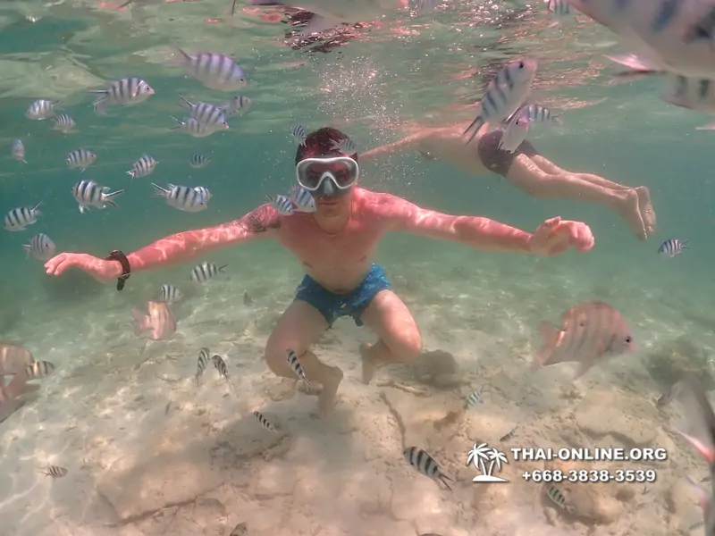 Underwater Odyssey snorkeling tour from Pattaya Thailand photo 18359