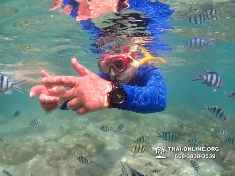 Underwater Odyssey snorkeling excursion Pattaya Thailand photo 14782