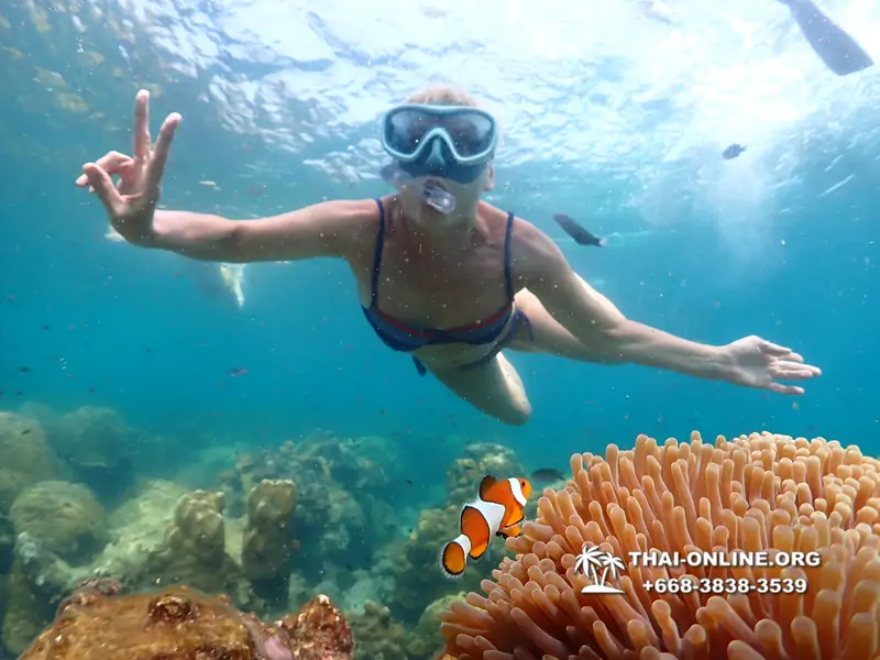 Underwater Odyssey snorkeling tour from Pattaya Thailand photo 14333
