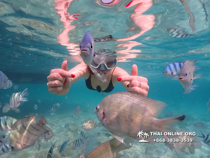 Underwater Odyssey snorkeling tour from Pattaya Thailand photo 14278