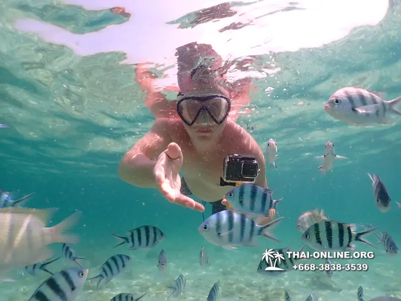 Underwater Odyssey snorkeling tour from Pattaya Thailand photo 18355