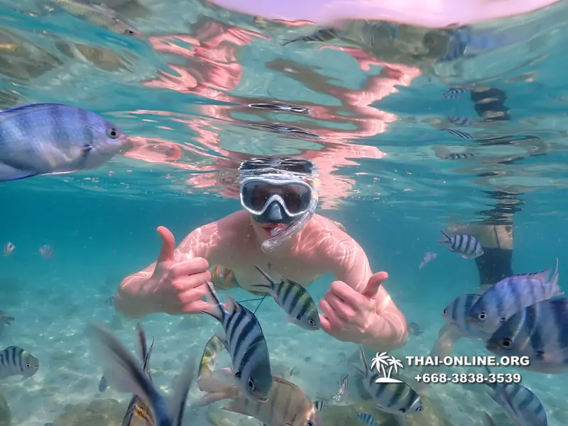 Underwater Odyssey snorkeling tour from Pattaya Thailand photo 14235