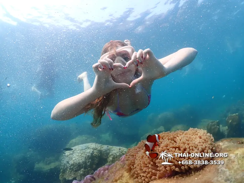 Underwater Odyssey snorkeling excursion Pattaya Thailand photo 11572