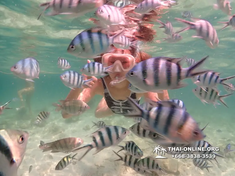 Underwater Odyssey snorkeling tour from Pattaya Thailand photo 18273