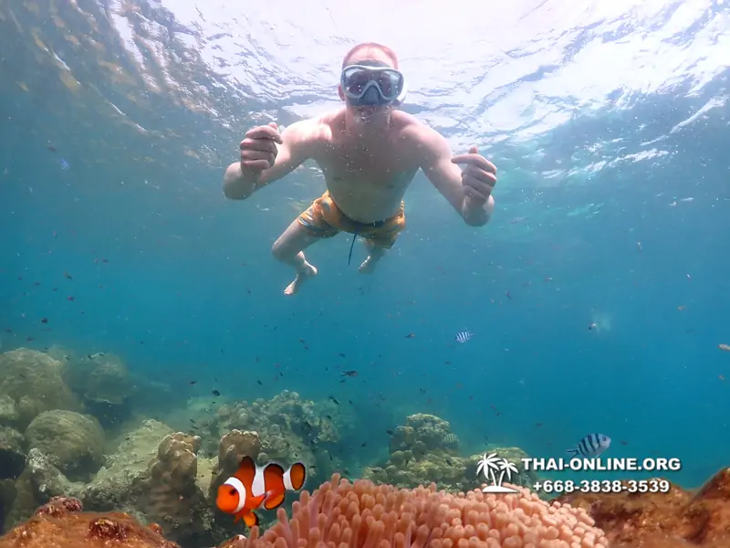 Underwater Odyssey snorkeling tour from Pattaya Thailand photo 14471