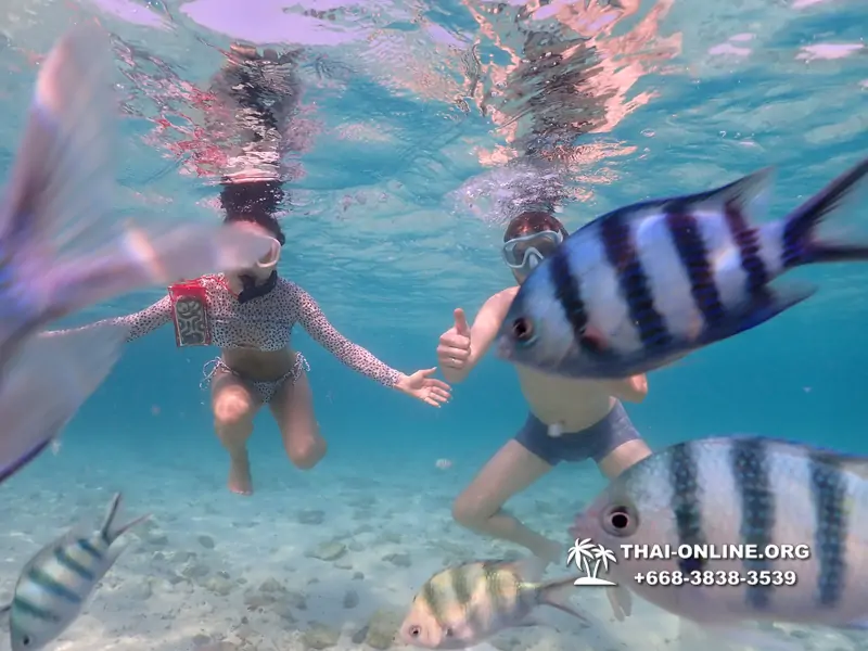 Underwater Odyssey snorkeling excursion Pattaya Thailand photo 11068