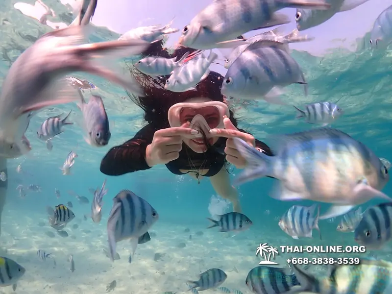 Underwater Odyssey snorkeling excursion Pattaya Thailand photo 11210