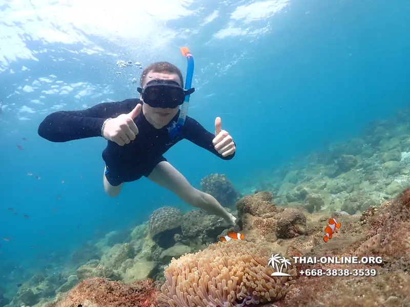 Underwater Odyssey snorkeling excursion Pattaya Thailand photo 11379