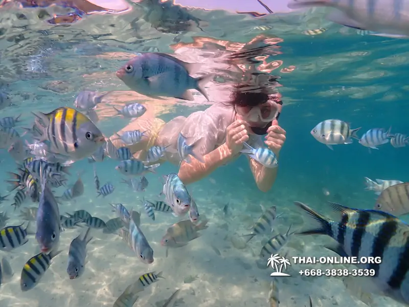 Underwater Odyssey snorkeling excursion Pattaya Thailand photo 11242