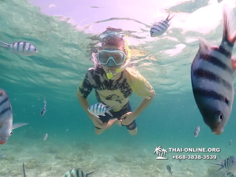 Underwater Odyssey snorkeling tour from Pattaya Thailand photo 18550