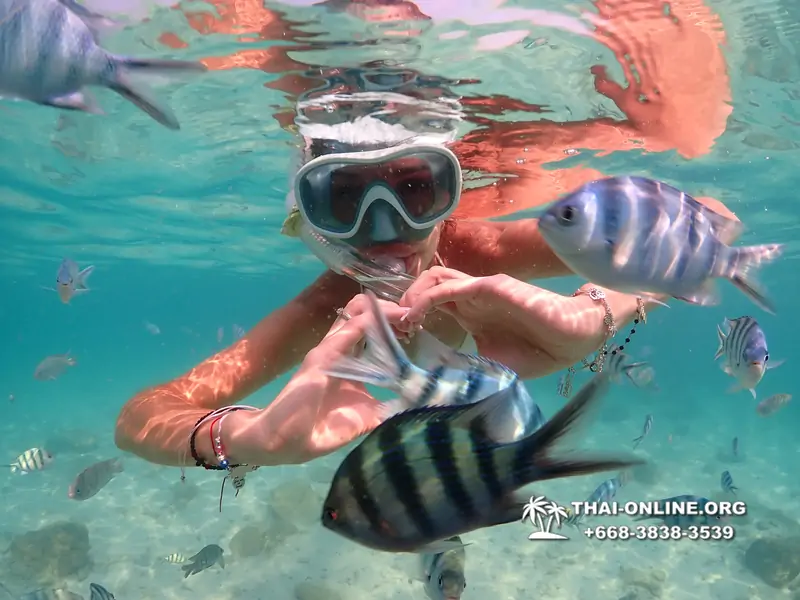Underwater Odyssey snorkeling tour from Pattaya Thailand photo 14256