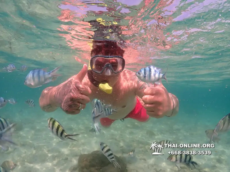 Underwater Odyssey snorkeling excursion Pattaya Thailand photo 14876