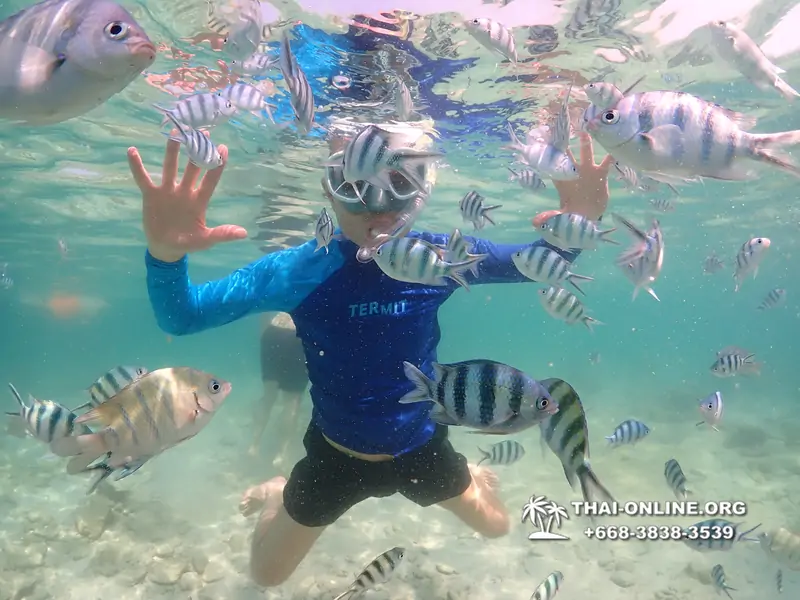 Underwater Odyssey snorkeling excursion Pattaya Thailand photo 14814