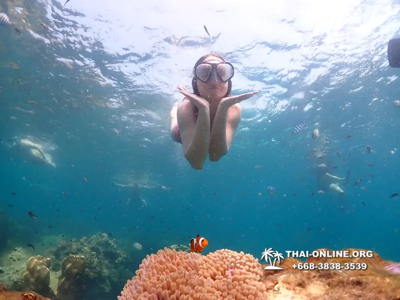 Underwater Odyssey snorkeling tour from Pattaya Thailand photo 14193
