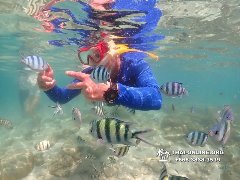 Underwater Odyssey snorkeling excursion Pattaya Thailand photo 14767