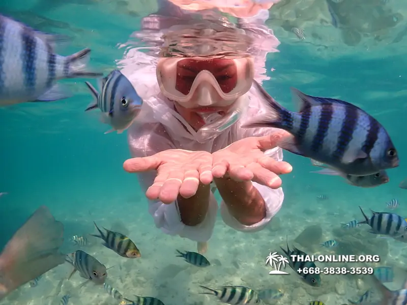 Underwater Odyssey snorkeling tour from Pattaya Thailand photo 14490