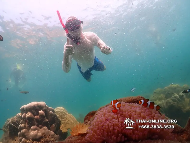 Underwater Odyssey snorkeling tour from Pattaya Thailand photo 18390