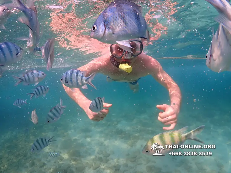 Underwater Odyssey snorkeling excursion Pattaya Thailand photo 11562