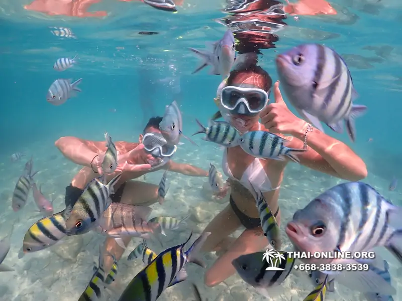 Underwater Odyssey snorkeling tour from Pattaya Thailand photo 14186