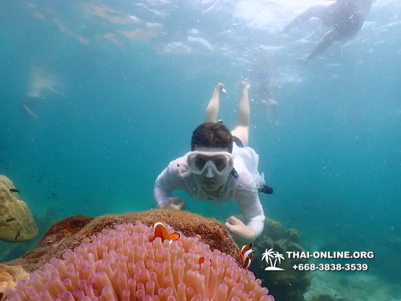 Underwater Odyssey snorkeling tour from Pattaya Thailand photo 18673