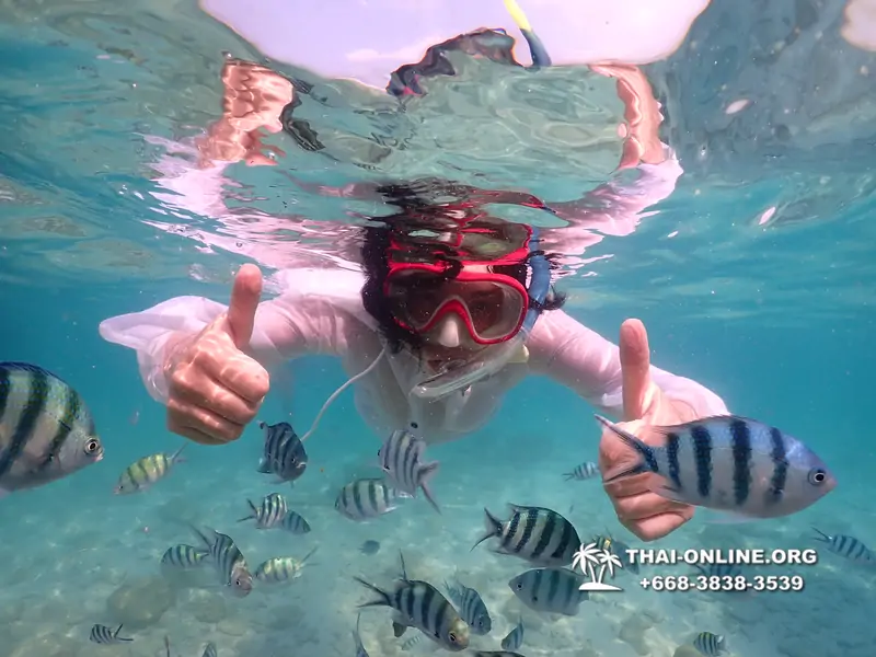 Underwater Odyssey snorkeling tour from Pattaya Thailand photo 14175