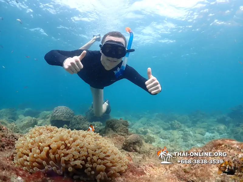 Underwater Odyssey snorkeling excursion Pattaya Thailand photo 11376