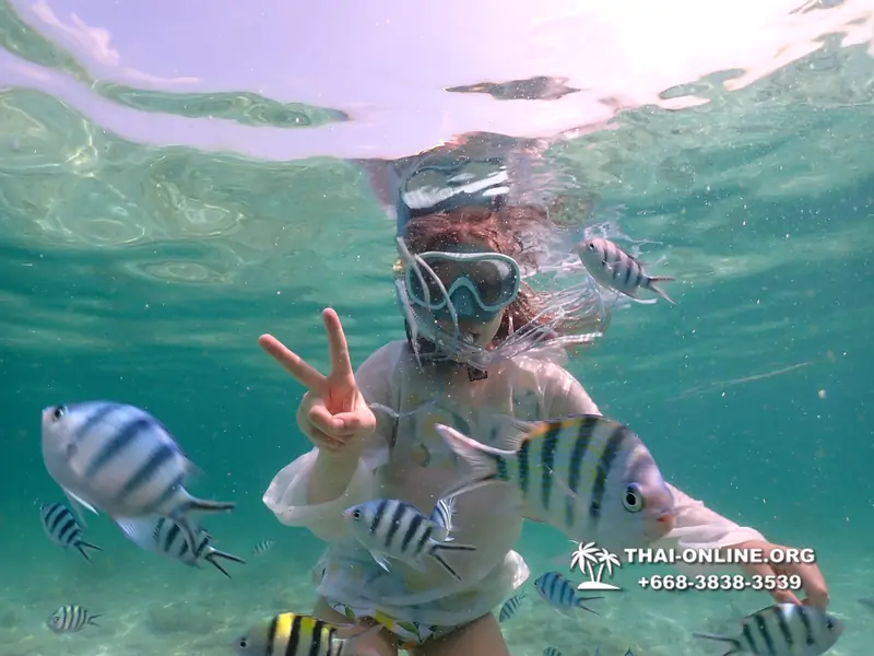 Underwater Odyssey snorkeling tour from Pattaya Thailand photo 18413