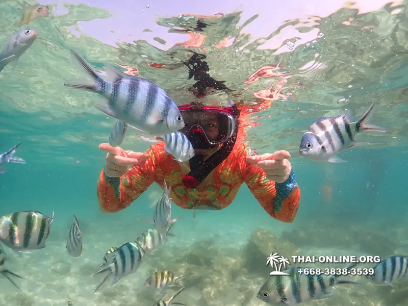 Underwater Odyssey snorkeling excursion Pattaya Thailand photo 14843