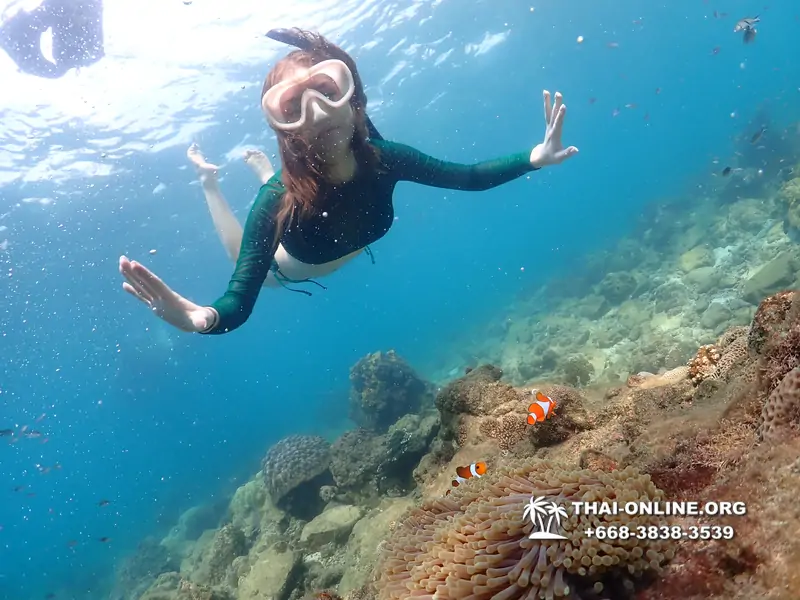 Underwater Odyssey snorkeling excursion Pattaya Thailand photo 11351
