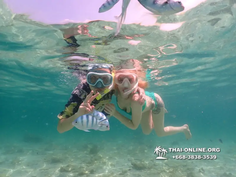 Underwater Odyssey snorkeling tour from Pattaya Thailand photo 18449